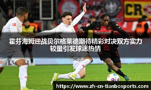 霍芬海姆迎战贝尔格莱德期待精彩对决双方实力较量引发球迷热情